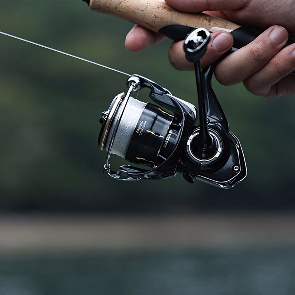 DAIWA 2026 FREAMS Spinning Ree - đánh giá và giá Daiwa Reel Fuego